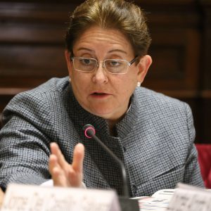  Congresista Lourdes Alcorta interviene en la sesión de la Comisión de Relaciones Exteriores.