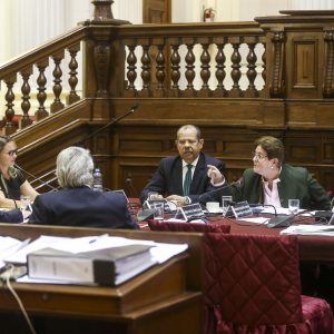 Congresista Lourdes Alcorta interviene durante la  sesión extraordinaria de la Comisión de Defensa Nacional, Orden Interno, Desarrollo Alternativo y Lucha Contra Las Drogas