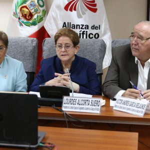 Congresista Lourdes Alcorta conduce la sesión virtual de la Comisión Especial de Seguimiento Parlamentario al Acuerdo de la Alianza del Pacífico. 