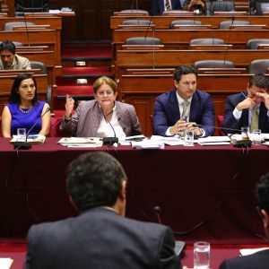 Congresista Lourdes Alcorta interviene en la Comisión Permanente del Congreso.