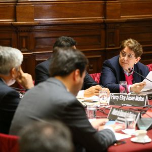 Congresista Lourdes Alcorta interviene en la sesión de la Comisión de Relaciones Exteriores.