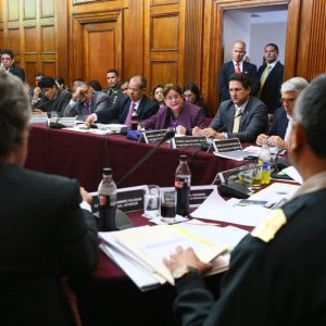 Congresista Lourdes Alcorta interviene durante la sesión de la Comisión de Defensa Nacional, Orden Interno, Desarrollo Alternativo y Lucha Contra Las Drogas.