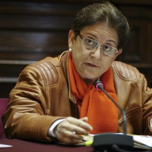 Congresista Lourdes Alcorta interviene en la sesión de la Comisión de Relaciones Exteriores. 