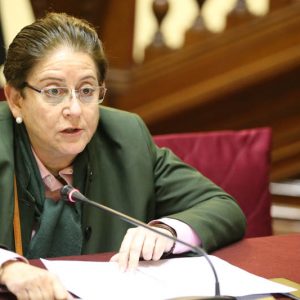 Congresista Lourdes Alcorta interviene en la Comisión de Comisión de Constitución y Reglamento