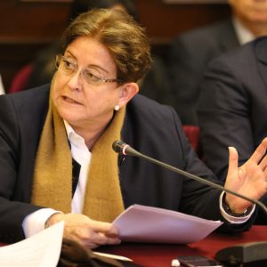 Congresista Lourdes Alcorta interviene en la Comisión Permanente del Congreso.