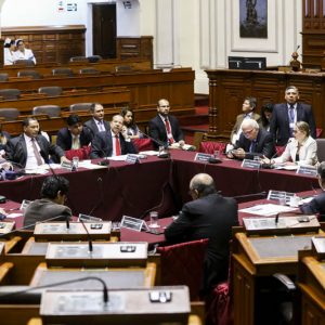 Congresista Lourdes Alcorta participa durante la sesión de la Comisión de Defensa Nacional, Orden Interno, Desarrollo Alternativo y Lucha Contra Las Drogas.