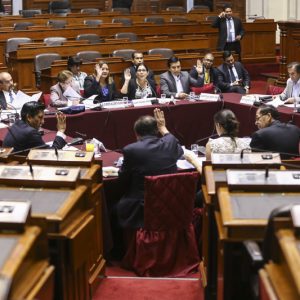 Congresista Lourdes Alcorta participa en la sesión de la Comisión de Constitución y Reglamento.
