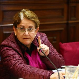 Congresista Lourdes Alcorta interviene en la Comisión de Comisión de Constitución y Reglamento