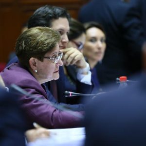 Congresista Lourdes Alcorta interviene en la Comisión de Comisión de Constitución y Reglamento