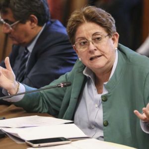 Congresista Lourdes Alcorta interviene en la Comisión de Defensa Nacional, Orden Interno, Desarrollo Alternativo y Lucha Contra Las Drogas.