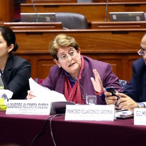Congresista Lourdes Alcorta interviene en la Comisión de Comisión de Constitución y Reglamento